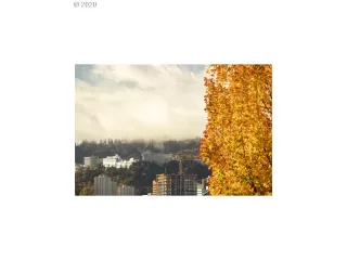 Photo #3: 20180329 Listing