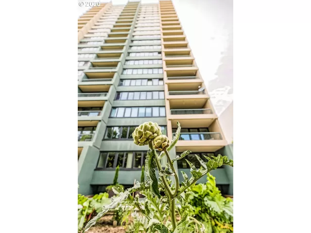 MLS: 20194547 Condo For Sale
