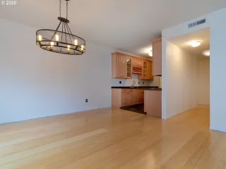 Photo #4: 20201109 Listing 