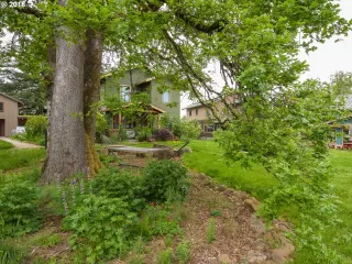 Photo #1: 20242108 Listing 