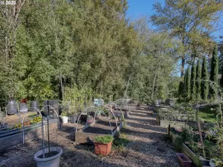 Photo #1: 20242334 Listing