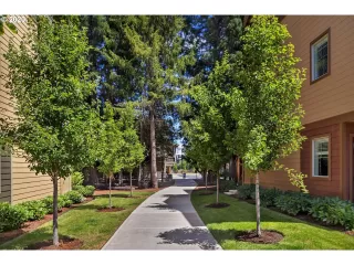 Photo #2: 20262366 Listing 