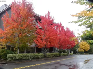 Photo #1: 20266309 Listing