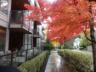 Photo #3: 20266309 Listing