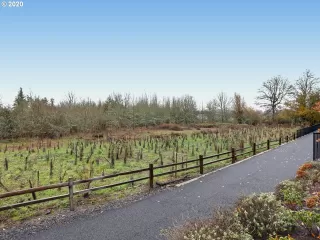 Photo #4: 20267754 Listing