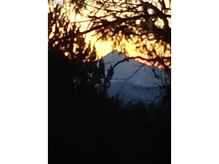 Photo #6: 20317192 Listing