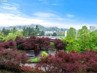 Photo #1: 20325664 Listing