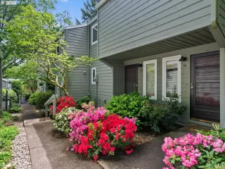 Photo #1: 20325837 Listing