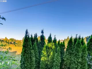 Photo #2: 20326345 Listing