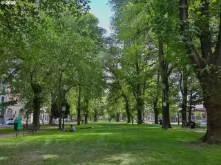 Photo #2: 20329208 Listing