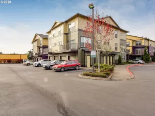 Photo #1: 20330498 Listing