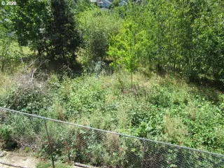 Photo #1: 20334561 Listing