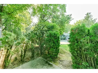 Photo #4: 20340894 Listing 