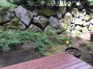 Photo #1: 20345725 Listing 