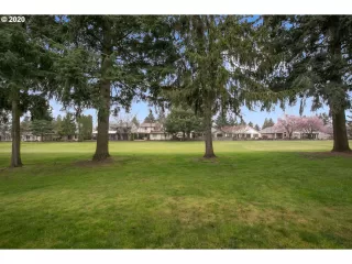 Photo #6: 20347461 Listing