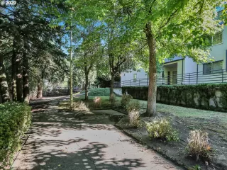 Photo #6: 20357113 Listing 