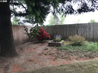 Photo #5: 20363923 Listing