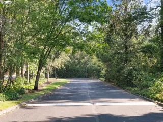 Photo #1: 20373450 Listing