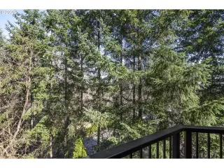 Photo #4: 20376816 Listing