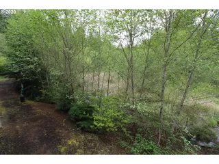 Photo #4: 20378462 Listing