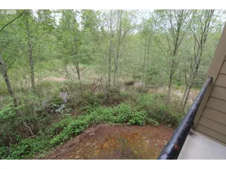 Photo #5: 20378462 Listing