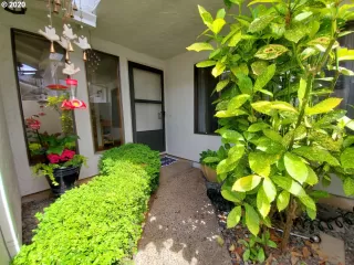 Photo #2: 20381074 Listing