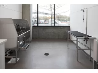 Photo #3: 20384388 Listing 