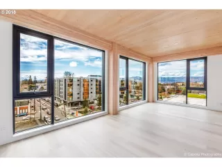 Photo #5: 20388225 Listing