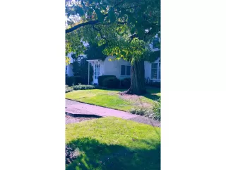 Photo #1: 20388646 Listing