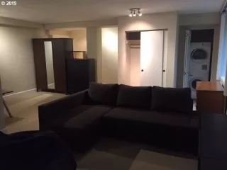 Photo #6: 20411197 Listing 