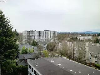 Photo #6: 20429695 Listing 