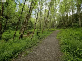 Photo #3: 20432572 Listing