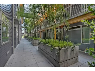 Photo #4: 20435293 Listing 