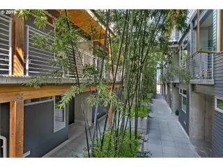 Photo #5: 20435293 Listing 