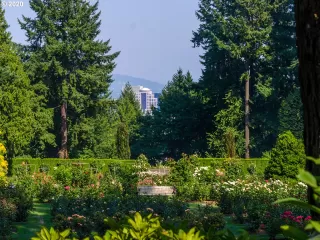 Photo #6: 20447590 Listing