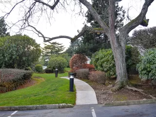 Photo #3: 20449002 Listing