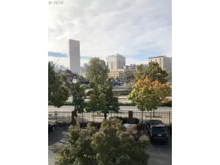 Photo #5: 20450474 Listing 