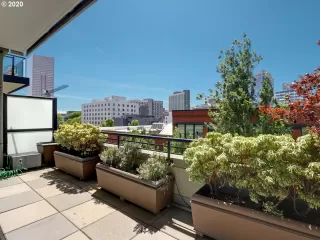 Photo #6: 20462738 Listing