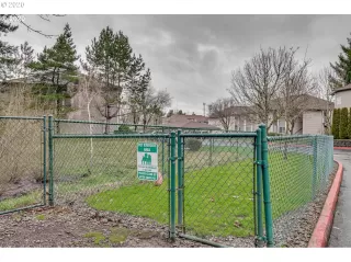 Photo #5: 20463270 Listing