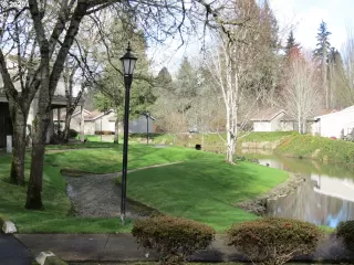 Photo #3: 20467197 Listing