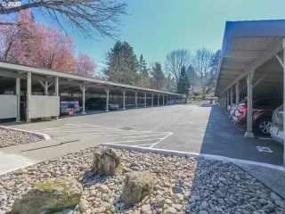 Photo #1: 20490081 Listing