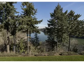 Photo #4: 20494915 Listing