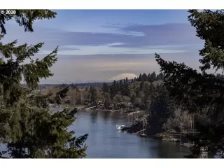 Photo #5: 20494915 Listing