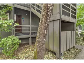 Photo #2: 20496238 Listing