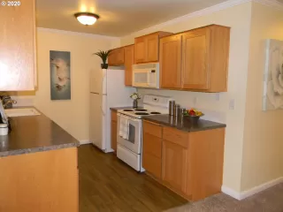 Photo #5: 20502523 Listing