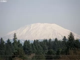 Photo #5: 20503058 Listing