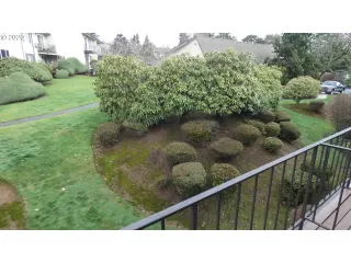 Photo #6: 20508518 Listing