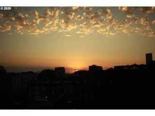 Photo #2: 20515135 Listing