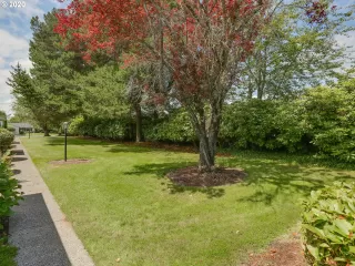 Photo #2: 20519966 Listing