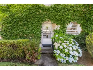 Photo #1: 20524322 Listing